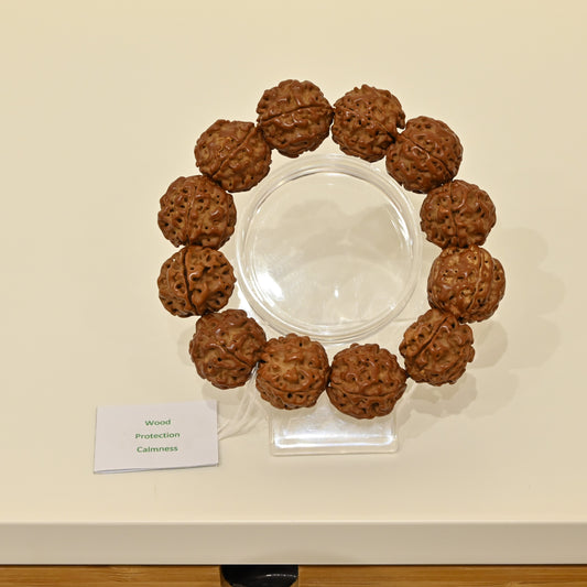 Rudraksha